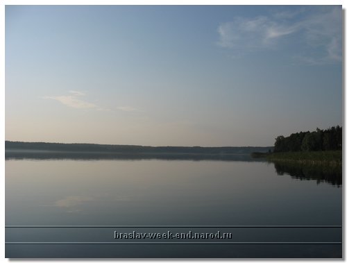 IMG_3431.jpg