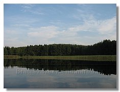 IMG_3339.jpg