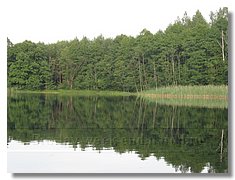 IMG_3350.jpg