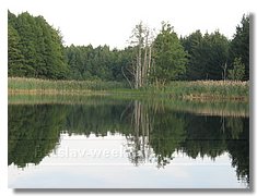 IMG_3351.jpg