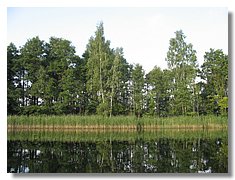 IMG_3352.jpg