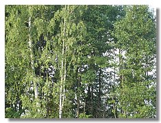 IMG_3353.jpg