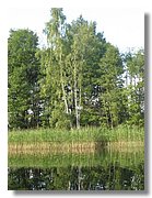IMG_3354.jpg