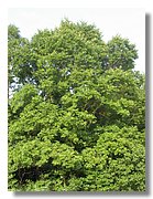 IMG_3357.jpg