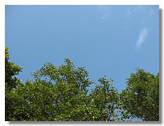 IMG_3377.jpg