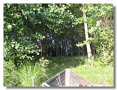 IMG_3379.jpg