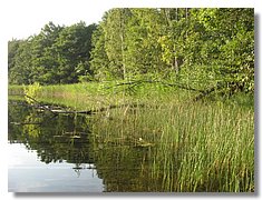 IMG_3380.jpg