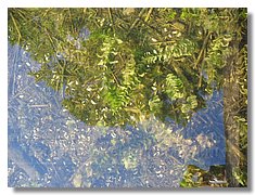 IMG_3381.jpg