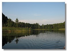 IMG_3430.jpg